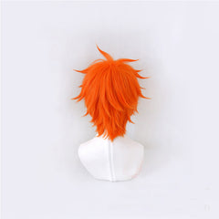 Pumuckl Perücke Meister Ederund sein Pumuckl Cosplay Perücke