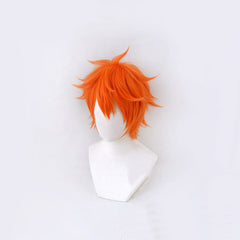 Pumuckl Perücke Meister Ederund sein Pumuckl Cosplay Perücke