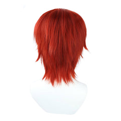 One Piece Shanks Cosplay Perücke