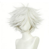 Qifrey silber Perücke Witch Hat Atelier Qifrey Cosplay Perücke