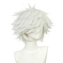 Qifrey silber Perücke Witch Hat Atelier Qifrey Cosplay Perücke
