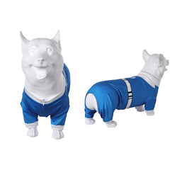 The Fantastic Four: First Steps (2025) Sue Storm Haustier Hund Kostüm Cosplay Outfits