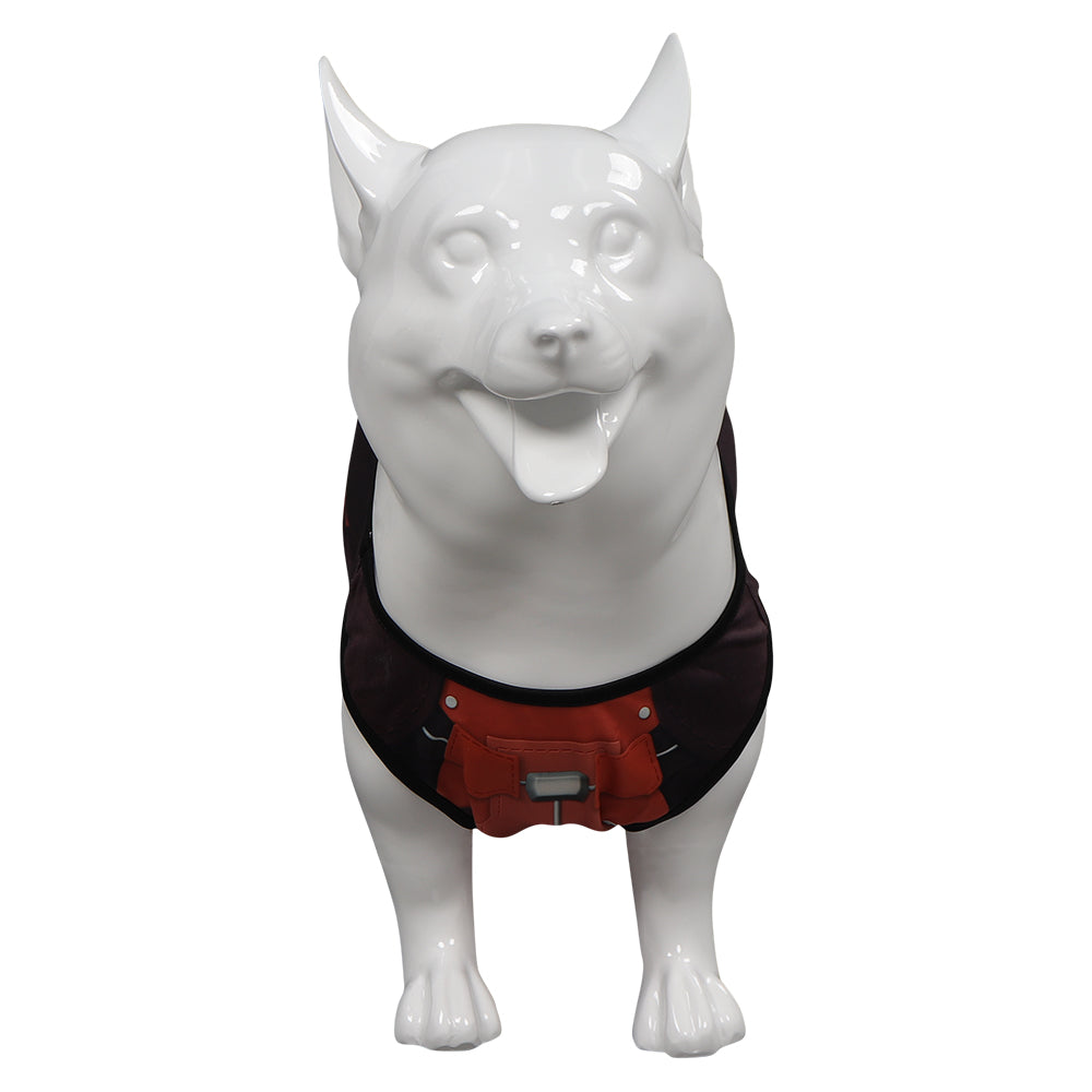 Guardians of the Galaxy Rocket Marvel Cosplay Hundebekleidung Cosplay Kostüm