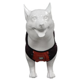 Guardians of the Galaxy Rocket Marvel Cosplay Hundebekleidung Cosplay Kostüm