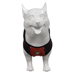 Guardians of the Galaxy Rocket Marvel Cosplay Hundebekleidung Cosplay Kostüm