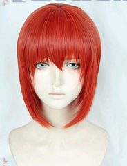 Mahoutsukai no Yome Die Braut des Magiers The Ancient Magus‘ Bride Chise Hatori Perücke Cosplay Perücke