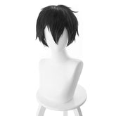 Sword Art Online Kazuto Kirigaya Alfheim Online Perücke Cosplay Perücke - cosplaycartde
