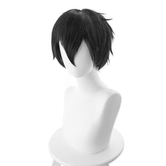 Sword Art Online Kazuto Kirigaya Alfheim Online Perücke Cosplay Perücke - cosplaycartde