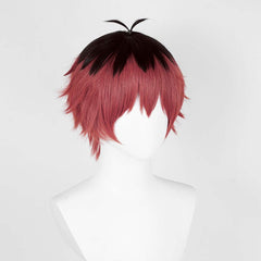Frieren – Nach Dem Ende Der Reise Stark Perücke Cosplay Requisite