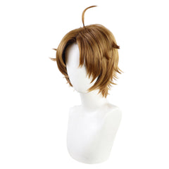 Mushoku Tensei Jobless Rudeus Greyrat Perücke Cosplay Perücke