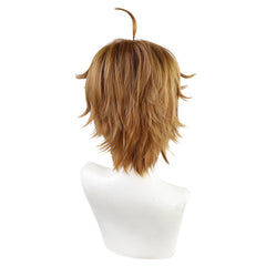 Mushoku Tensei Jobless Rudeus Greyrat Perücke Cosplay Perücke