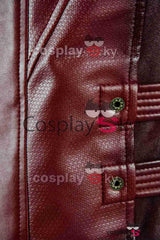 Guardians of the Galaxy 2 Peter Jason Quill Starlord Cosplay Kostüm - cosplaycartde