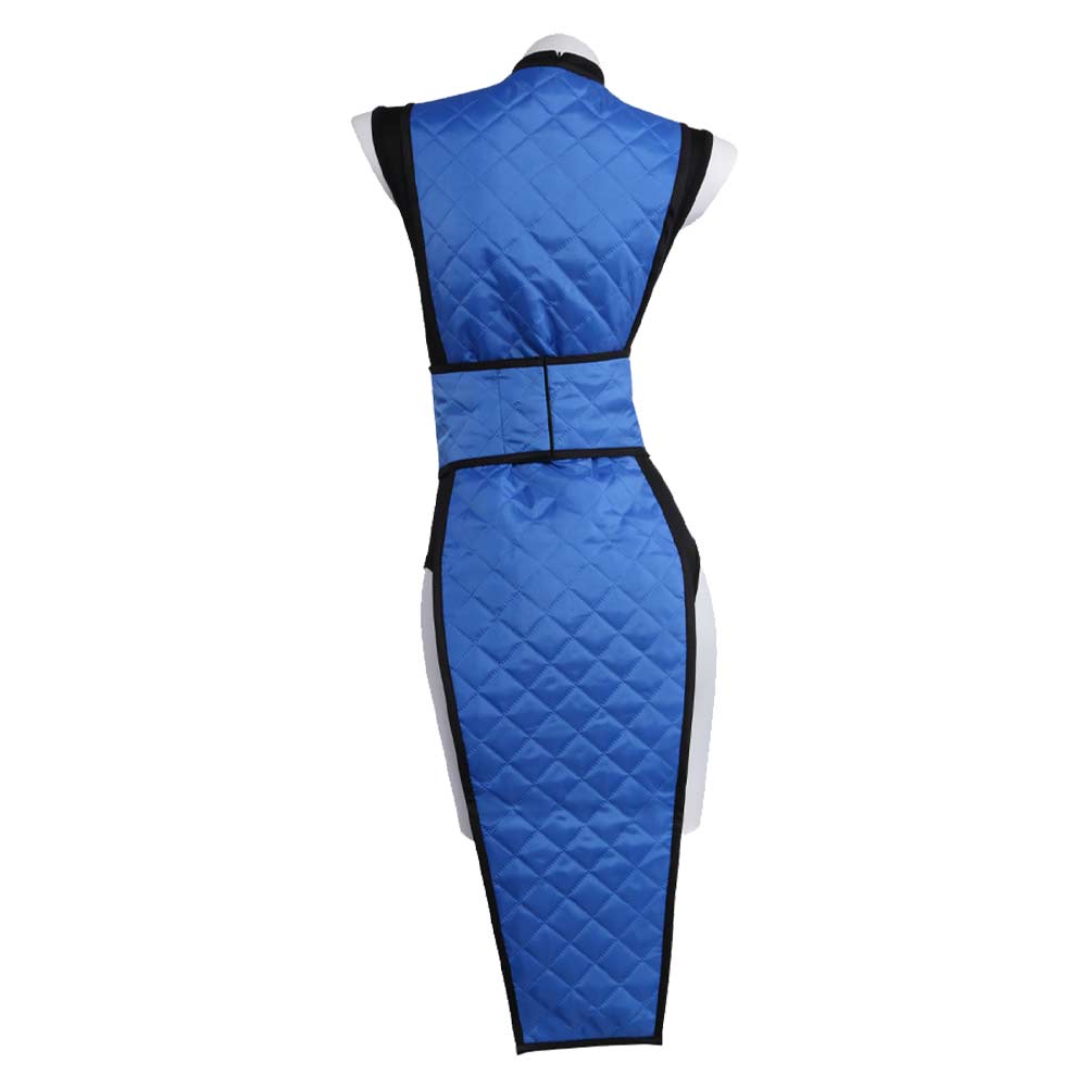 Sub-Zero blau Kostüm Set Mortal Kombat Sub-Zero Cosplay Outfit