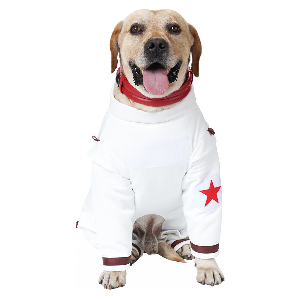 Guardians of the Galaxy Vol. 3 Hund Raumanzug Cosplay Halloween Karneval Party Outfits