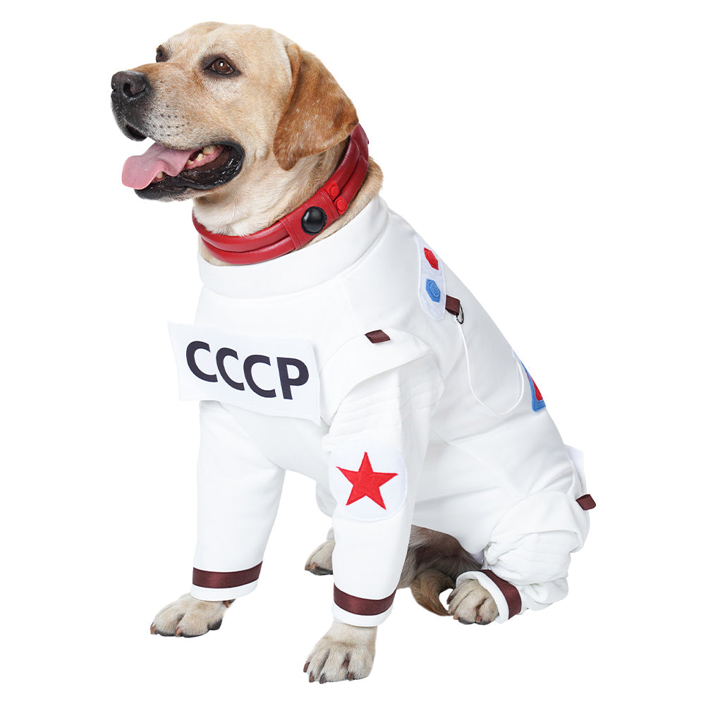 Guardians of the Galaxy Vol. 3 Hund Raumanzug Cosplay Halloween Karneval Party Outfits