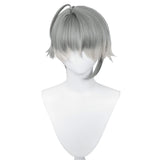 AlHaitham Perücke Cosplay Genshin Impact Hitzebeständige Haar Karneval Halloween Party Requisiten